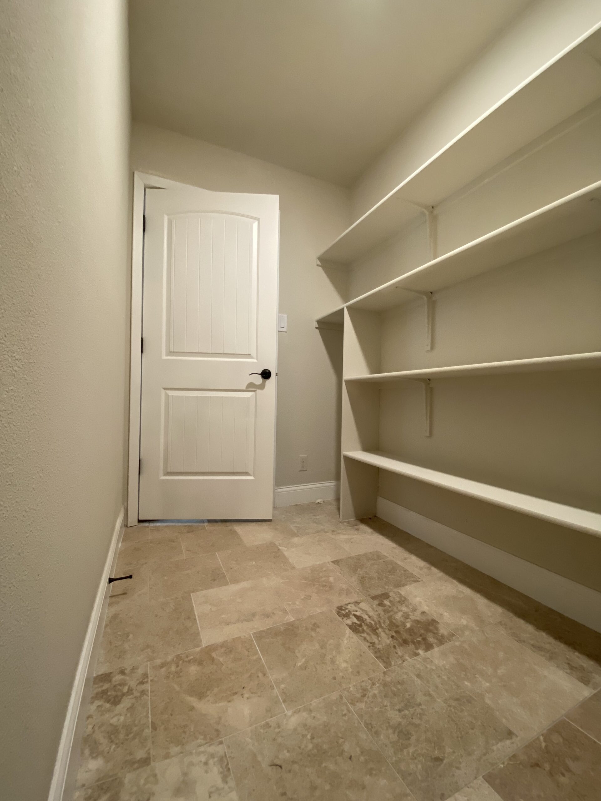 empty builder grade pantry with shelving